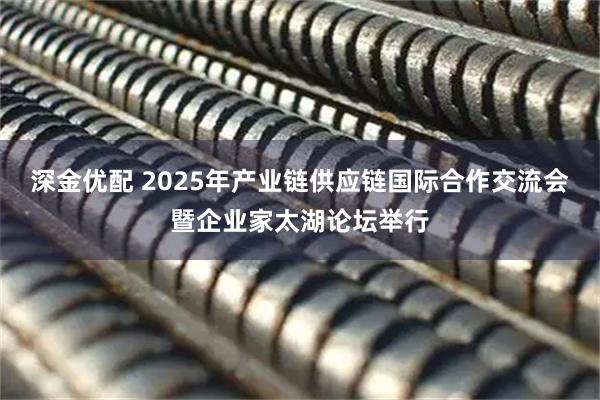 深金优配 2025年产业链供应链国际合作交流会暨企业家太湖论坛举行