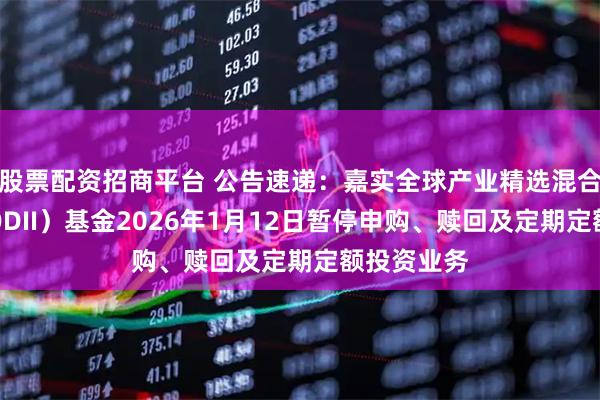 股票配资招商平台 公告速递：嘉实全球产业精选混合发起式（QDII）基金2026年1月12日暂停申购、赎回及定期定额投资业务