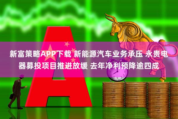 新富策略APP下载 新能源汽车业务承压 永贵电器募投项目推进放缓 去年净利预降逾四成