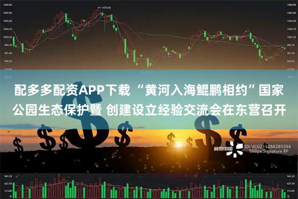 配多多配资APP下载 “黄河入海鲲鹏相约”国家公园生态保护暨 创建设立经验交流会在东营召开